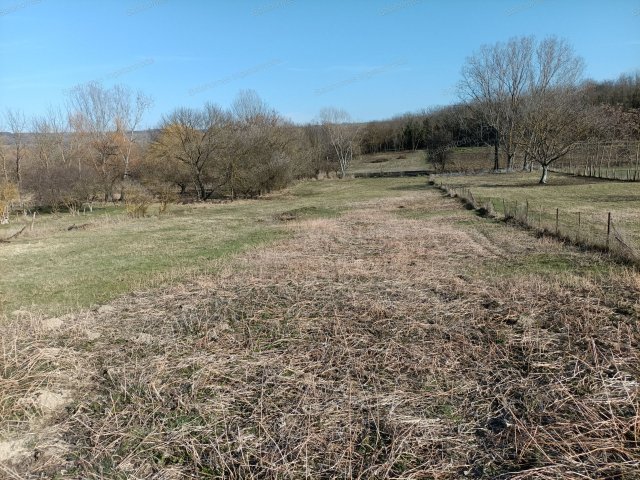 Eladó családi ház, Nagycsepelyen 38 M Ft, 4 szobás