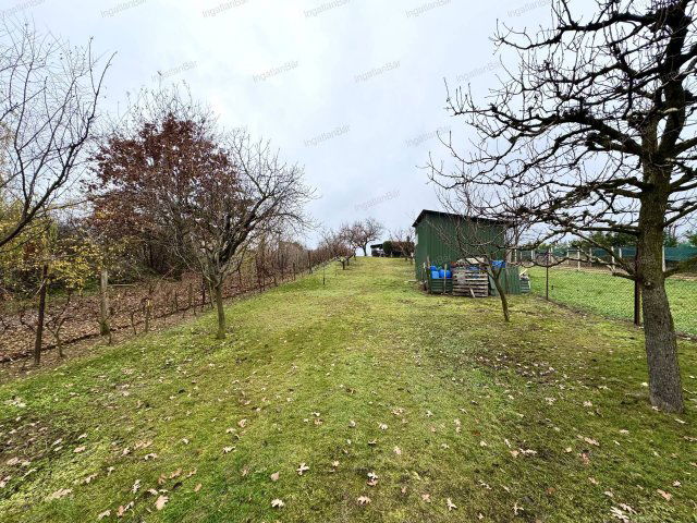 Eladó mezogazdasagi ingatlan, Nyírpazonyon 6.9 M Ft