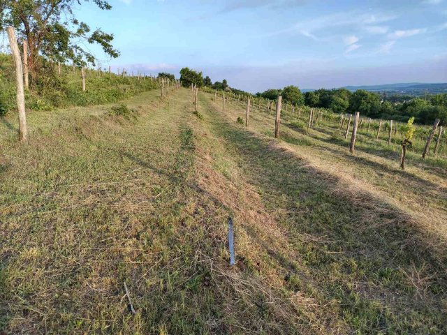 Eladó mezogazdasagi ingatlan, Csókakőn 10.9 M Ft