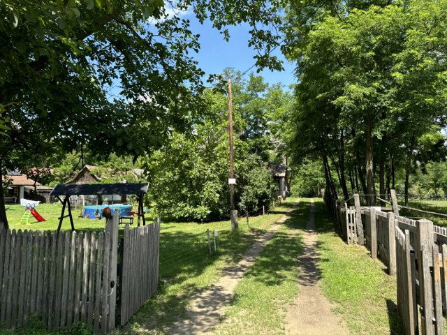 Eladó mezogazdasagi ingatlan, Jászszentandráson 38.9 M Ft