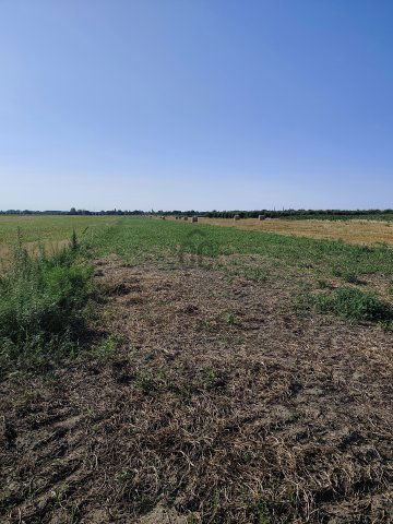 Eladó mezogazdasagi ingatlan, Szigetszentmiklóson 40 M Ft