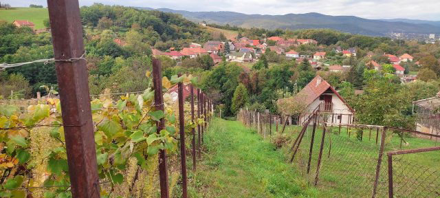 Eladó telek, Miskolcon 2.5 M Ft / költözzbe.hu