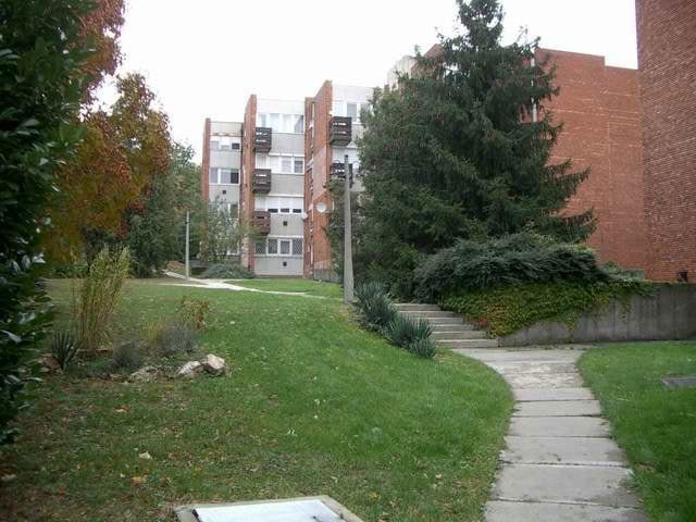 Kiadó téglalakás, albérlet, I. kerületben, Kocsány utcában