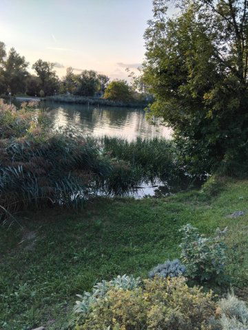Eladó telek, Budapesten, XXIII. kerületben 20 M Ft