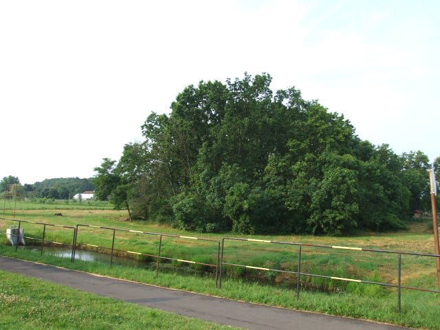 Eladó ipari ingatlan, Gyulán, Csabai úton 29.8 M Ft
