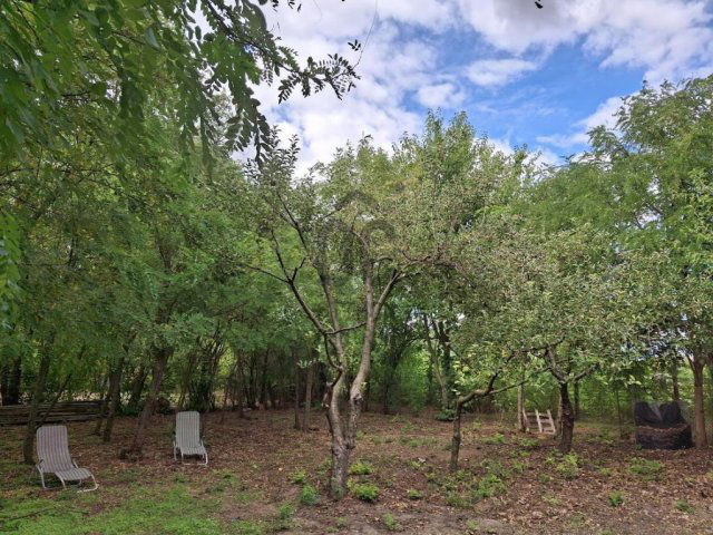 Eladó családi ház, Cegléden 56.5 M Ft, 2 szobás