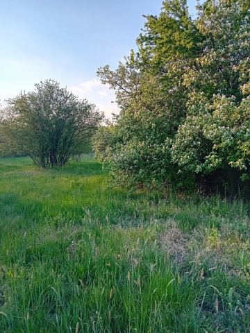 Eladó telek, Gyomaendrődön, Hantoskerti úton 2.5 M Ft