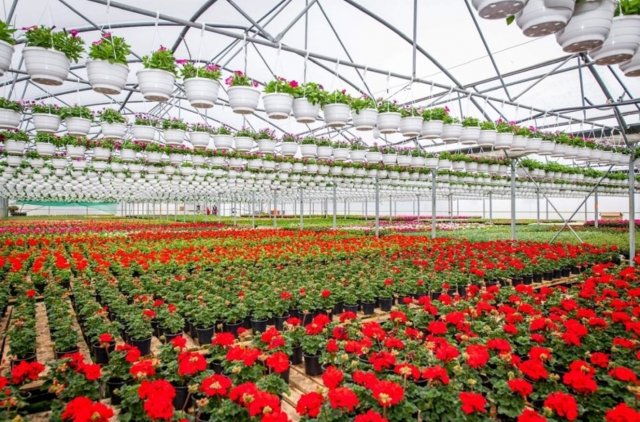 Eladó mezogazdasagi ingatlan, Telkibányán 139.9 M Ft