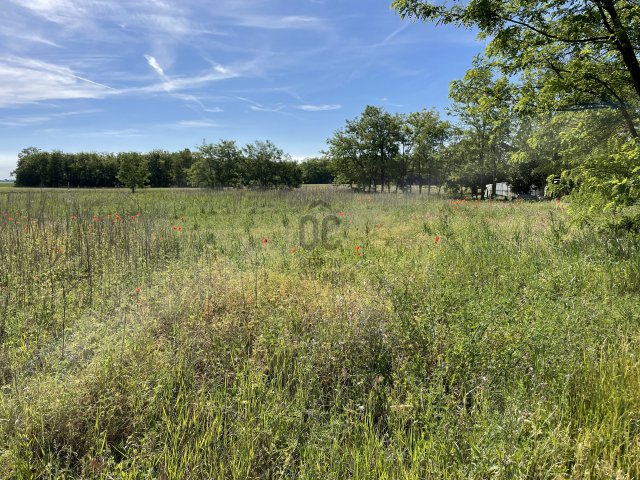 Eladó mezogazdasagi ingatlan, Abonyban 5 M Ft