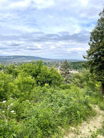 Eladó telek, Törökbálinton 159 M Ft / költözzbe.hu