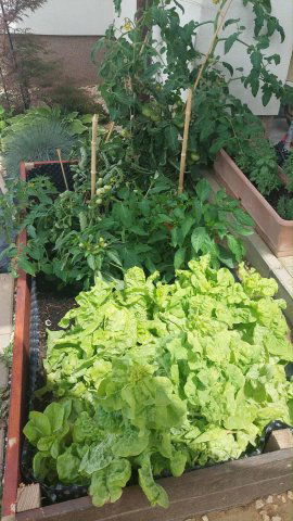 Eladó ikerház, Pilisjászfalun 99.9 M Ft, 3 szobás