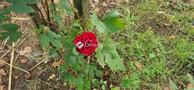 Eladó mezogazdasagi ingatlan, Kókán 17.9 M Ft