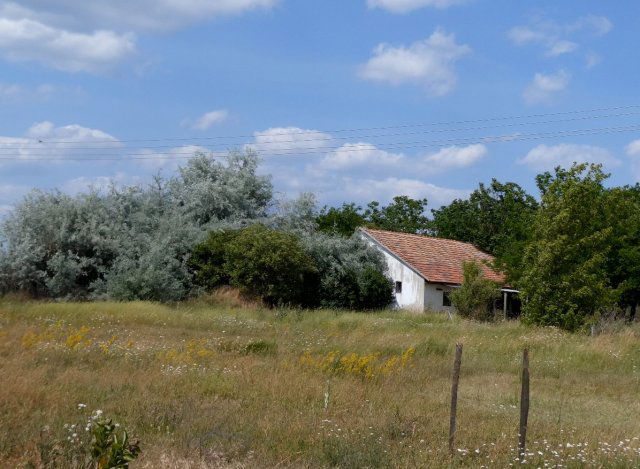 Eladó családi ház, Izsákon 8.5 M Ft, 2 szobás
