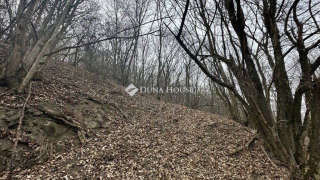 Eladó mezogazdasagi ingatlan, Visegrádon 7.9 M Ft