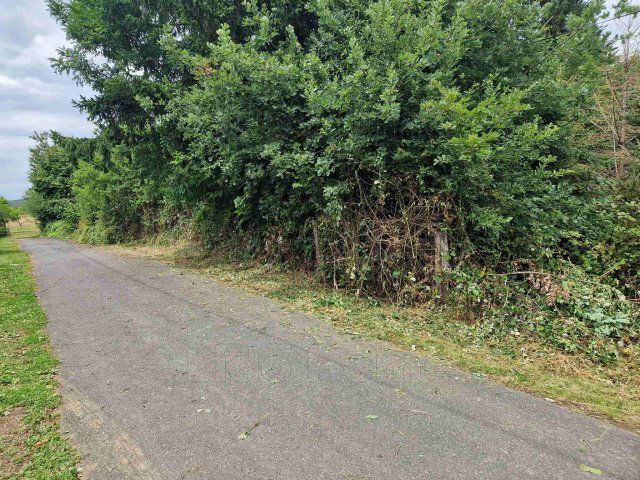 Eladó telek, Kustánszegen 2.55 M Ft / költözzbe.hu