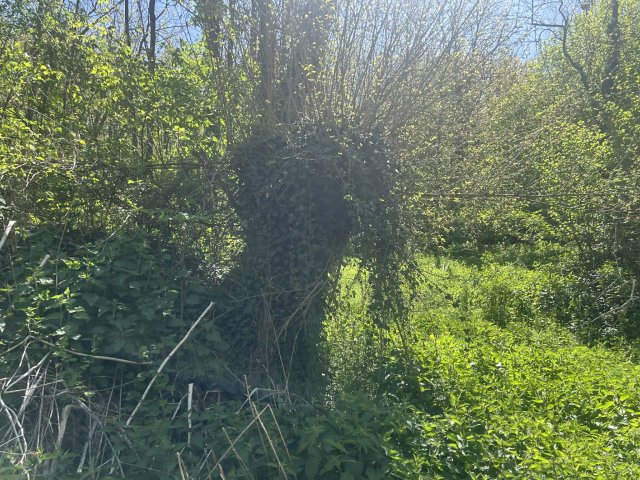 Eladó telek, Bárdudvarnokon 5.6 M Ft / költözzbe.hu