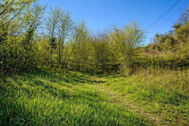 Eladó mezogazdasagi ingatlan, Kehidakustányban 4.99 M Ft