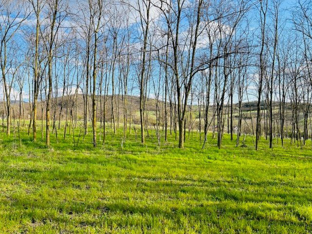 Eladó telek, Győrújbaráton, Kossuth utcában 40 M Ft