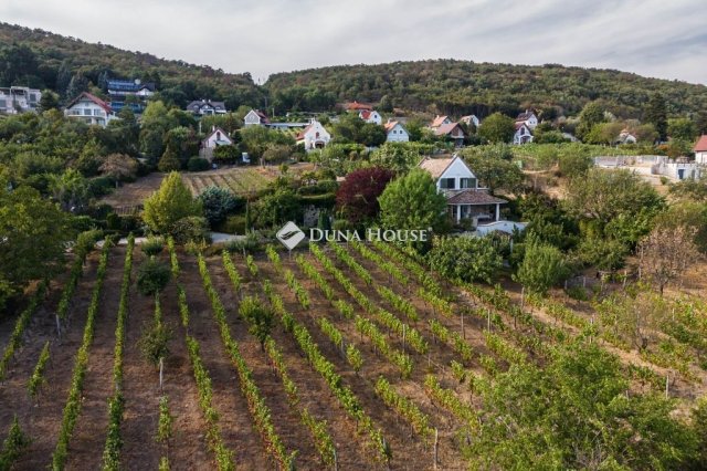 Eladó családi ház, Csopakon 529 M Ft, 5 szobás