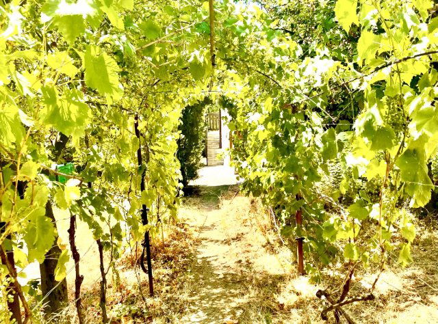 Eladó ikerház, Velencén 49 M Ft, 3 szobás / költözzbe.hu