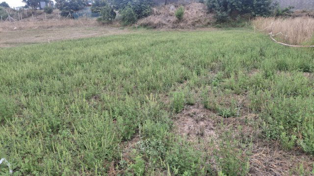 Eladó telek, Siójuton 8 M Ft / költözzbe.hu