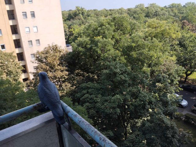 Kiadó téglalakás, albérlet, Budapesten, IX. kerületben