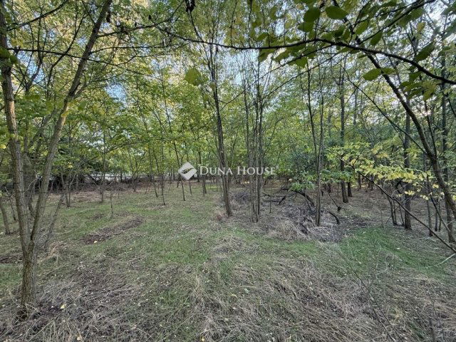 Eladó mezogazdasagi ingatlan, Kecskeméten 14.9 M Ft, 2 szobás