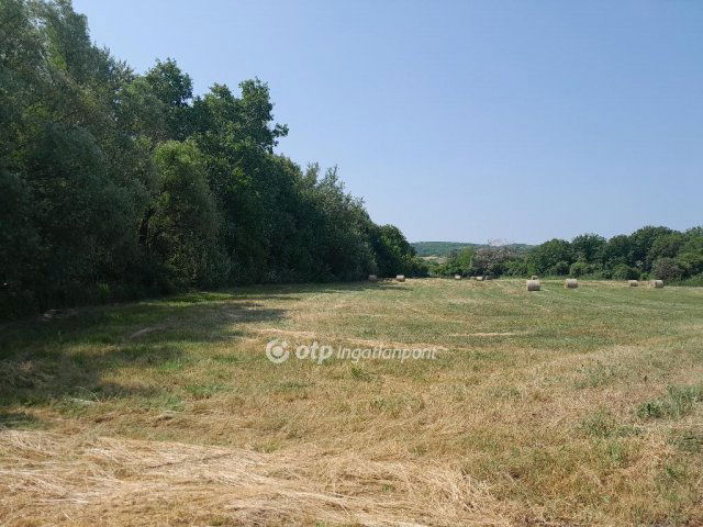 Eladó telek, Écsen 31 M Ft / költözzbe.hu