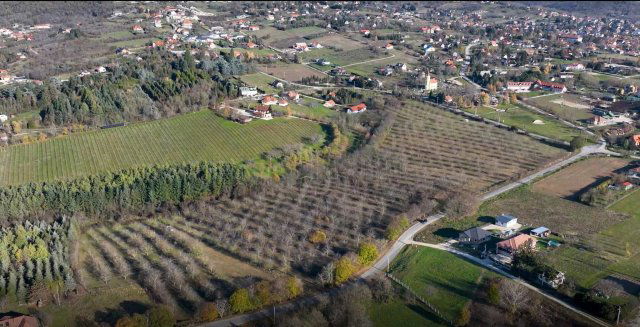 Eladó mezogazdasagi ingatlan, Cserszegtomajon 59 M Ft