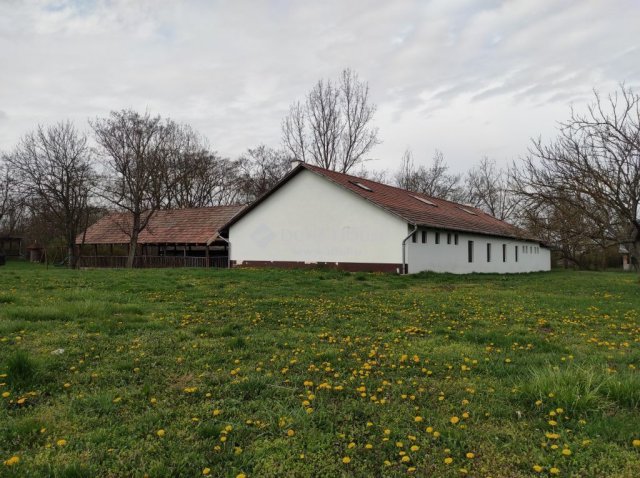 Eladó telek, Kemencén 230 M Ft / költözzbe.hu