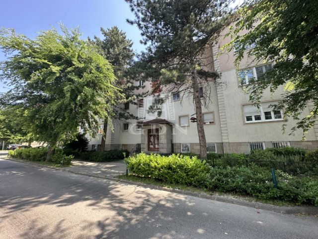 Kiadó téglalakás, albérlet, Székesfehérvárott 260 E Ft / hó