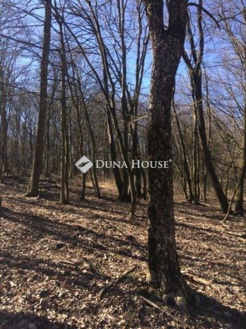 Eladó telek, Kismaroson 4.9 M Ft / költözzbe.hu