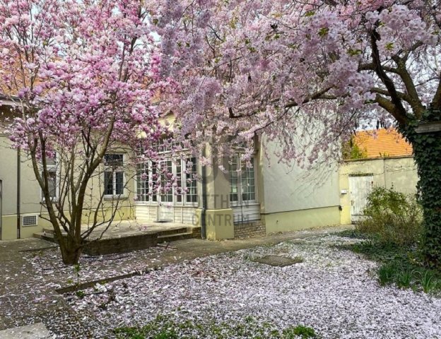 Kiadó iroda, Kecskeméten 774 E Ft / hó / költözzbe.hu