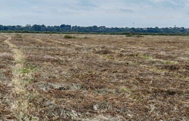 Eladó mezogazdasagi ingatlan, Sármelléken 99 M Ft