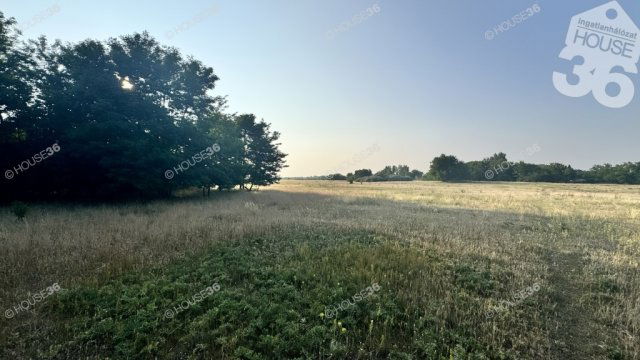 Eladó telek, Ballószögön 17.9 M Ft / költözzbe.hu