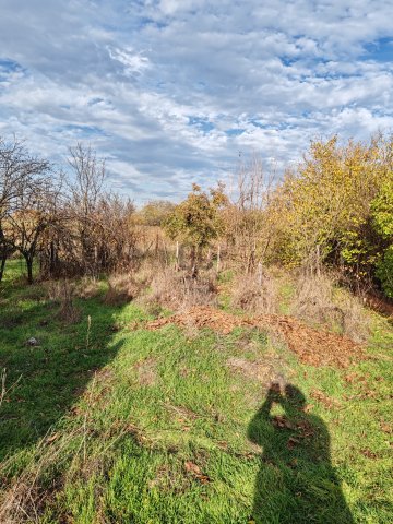 Eladó mezogazdasagi ingatlan, Cibakházán 3.4 M Ft