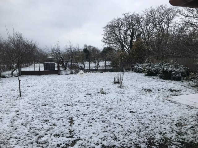 Eladó családi ház, Mohán 92.9 M Ft, 5 szobás