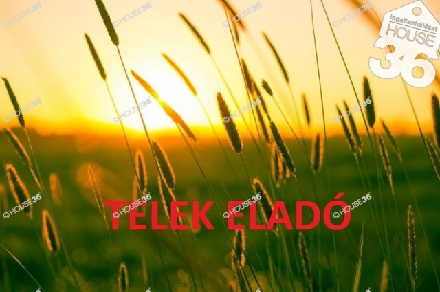 Eladó telek, Kecskeméten 18.5 M Ft / költözzbe.hu