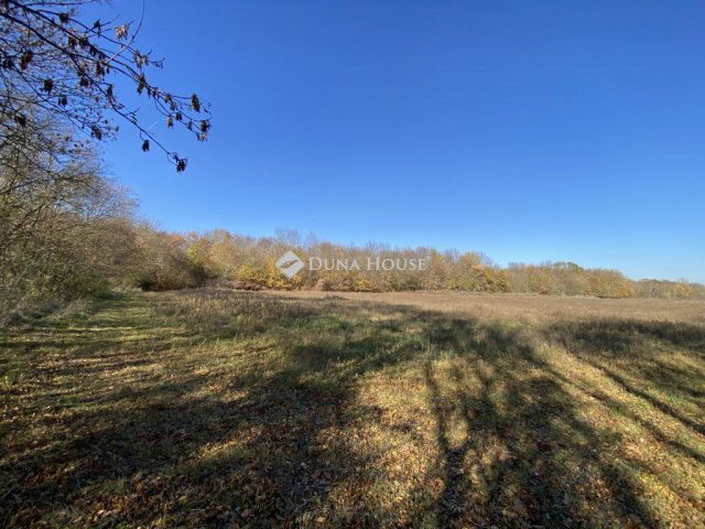 Eladó telek, Iszkaszentgyörgyön 1600 M Ft / költözzbe.hu