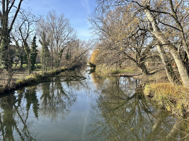 Eladó családi ház, Békéscsabán 64.99 M Ft, 3 szobás