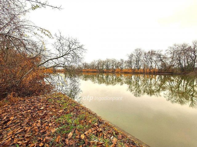 Eladó telek, Békésszentandráson 17.5 M Ft / költözzbe.hu