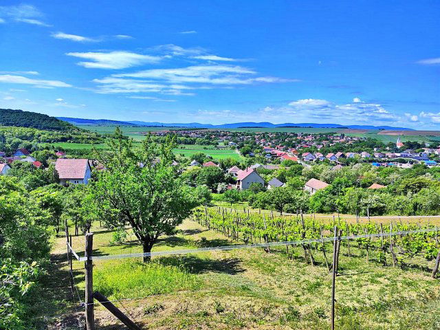 Eladó telek, Rádon 29.9 M Ft / költözzbe.hu