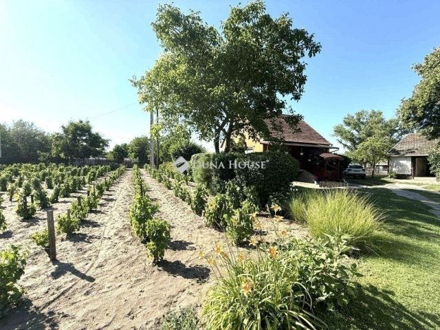 Eladó családi ház, Kecskeméten 54.9 M Ft, 2 szobás