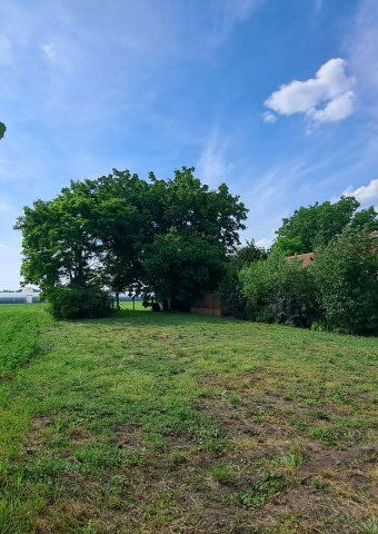 Eladó családi ház, Csányon 35.5 M Ft, 3+1 szobás