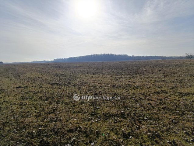 Eladó mezogazdasagi ingatlan, Bácsalmáson 728 M Ft