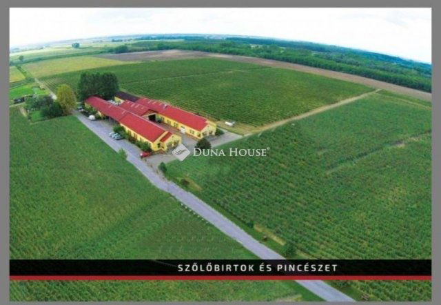 Eladó mezogazdasagi ingatlan, Baján 385 M Ft