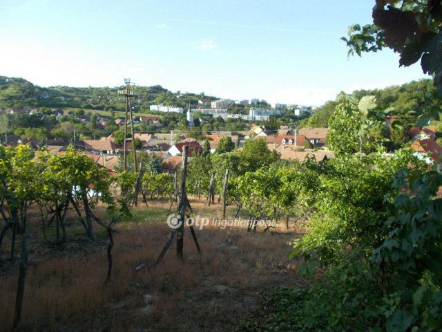 Eladó telek, Szekszárdon 7.8 M Ft / költözzbe.hu