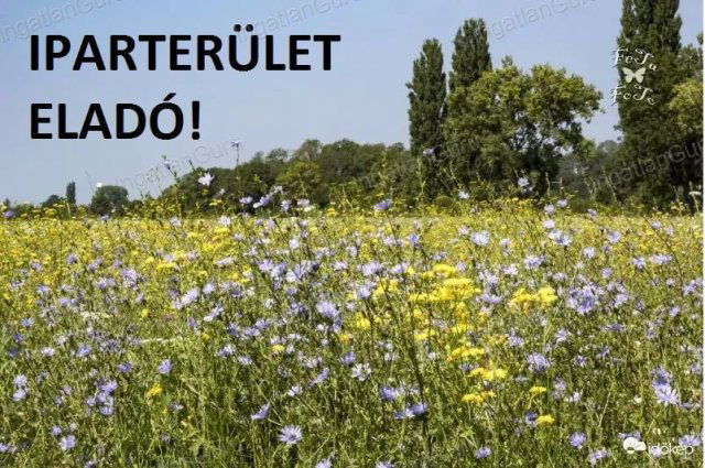 Eladó ipari ingatlan, Kecskeméten 48 M Ft / költözzbe.hu