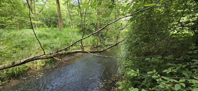 Eladó családi ház, Hegyhátszentjakabon 10 M Ft, 2 szobás