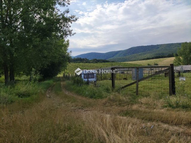 Eladó mezogazdasagi ingatlan, Szendehelyen 39.5 M Ft